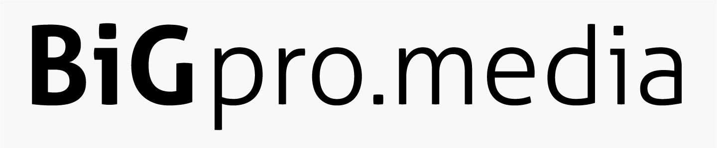 BiGpro.media